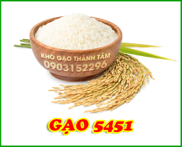 Gạo 5451